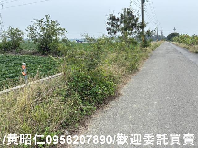 台南農地-9