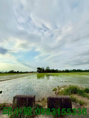 民雄農地-1