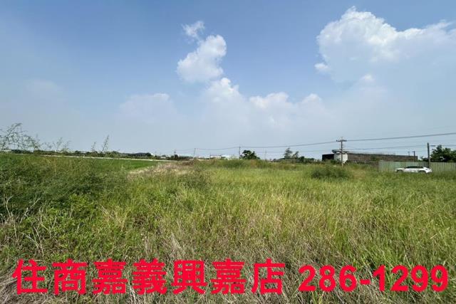 嘉義農地-6