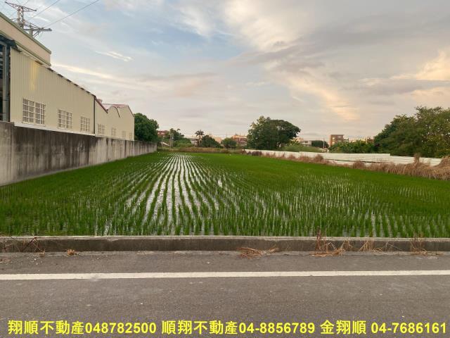 彰化秀水農地-6