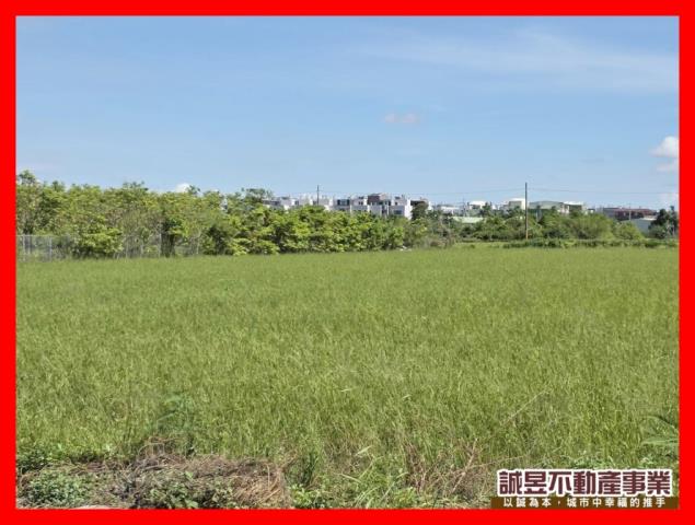 台南農地-1