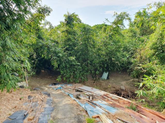 台南歸仁農地-10