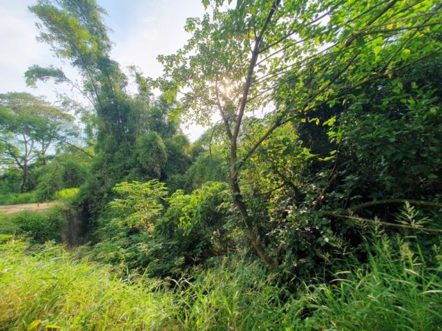 台南歸仁農地-11