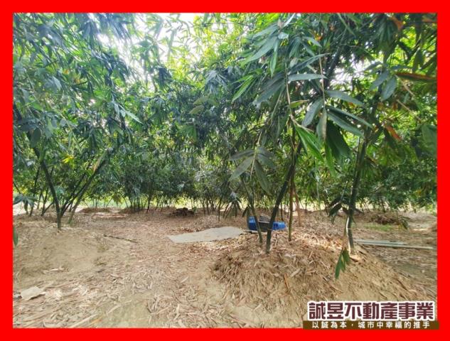 台南歸仁農地-1