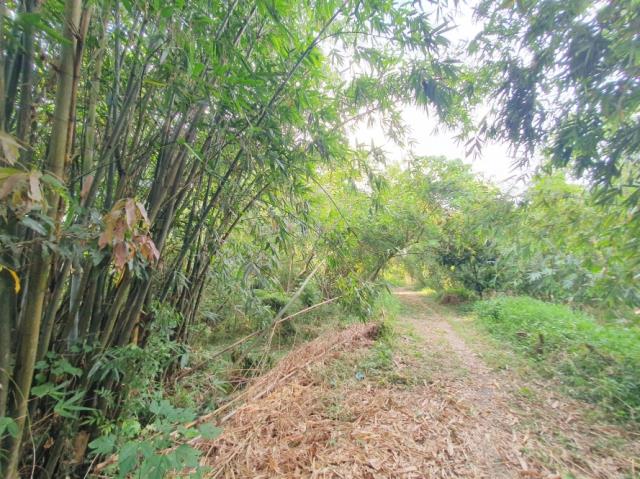 台南歸仁農地-2