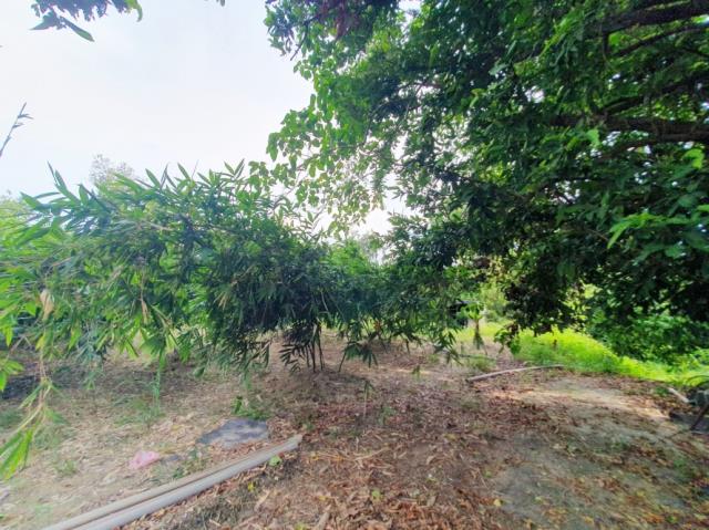 台南歸仁農地-4