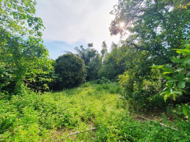 台南歸仁農地-5