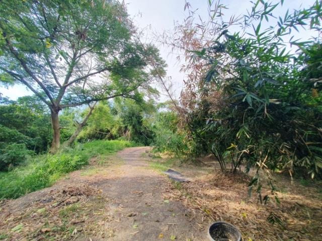 台南歸仁農地-6