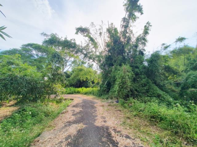 台南歸仁農地-8