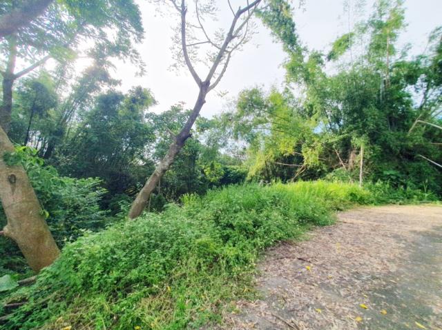 台南歸仁農地-9