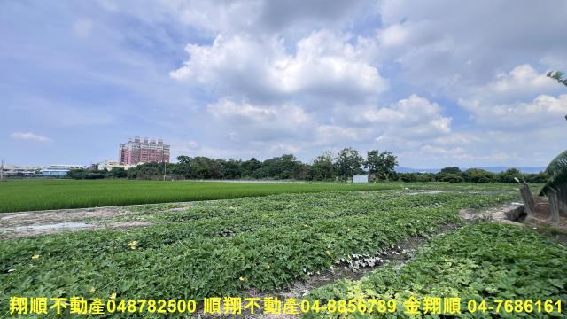 彰化北斗農地-3