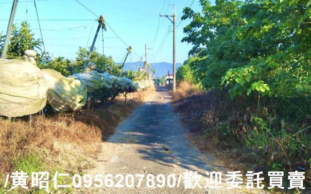 台南楠西農地-5
