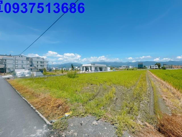 宜蘭宜蘭市農地-3