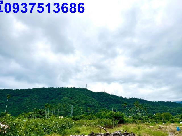 員山農地-5