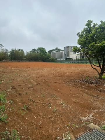 龍潭農地-2