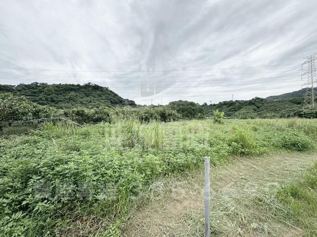 楠西農地-4