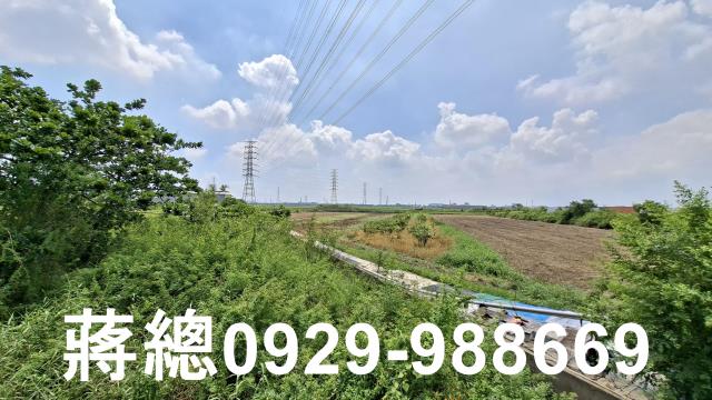新市農地-7