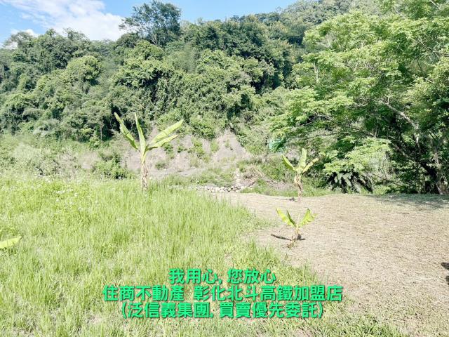 南投建地-5