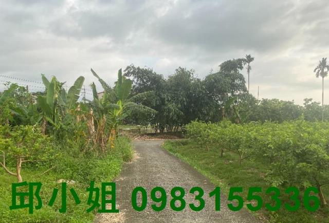 嘉義農地-2