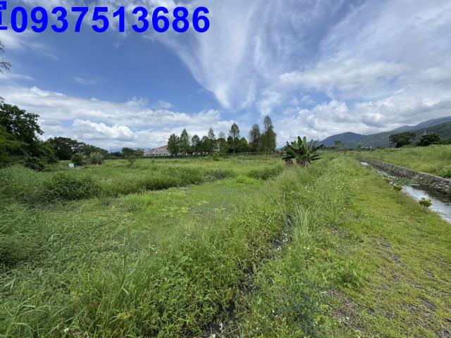 員山農地-4