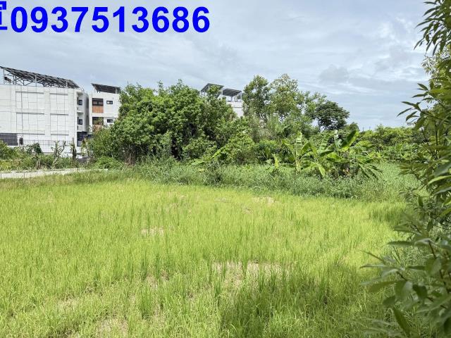 冬山農地-5