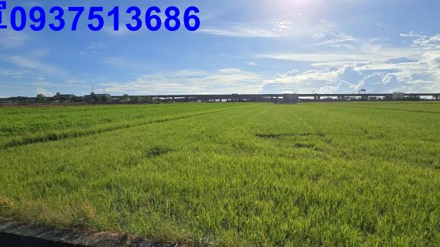 宜蘭農地-7