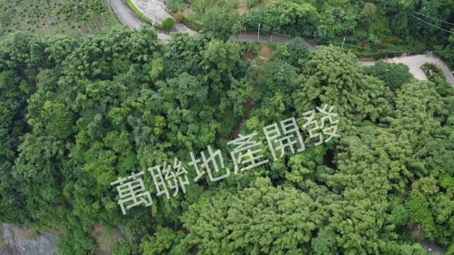 台中山坡地保育區林業-14