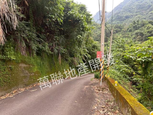 台中山坡地保育區林業-7