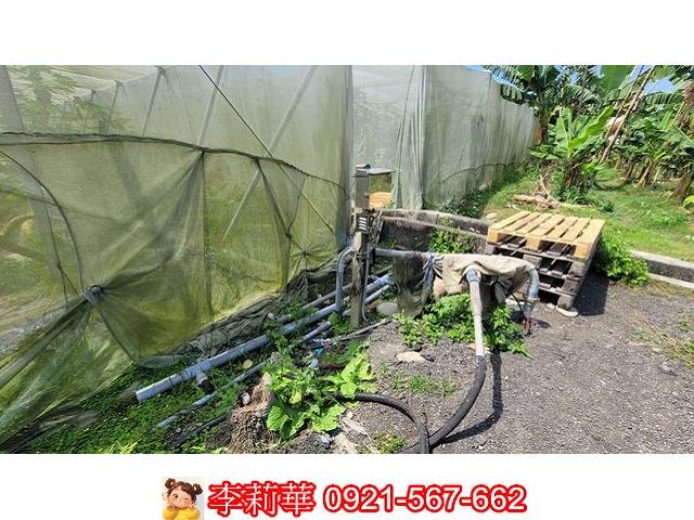旗山農地-10