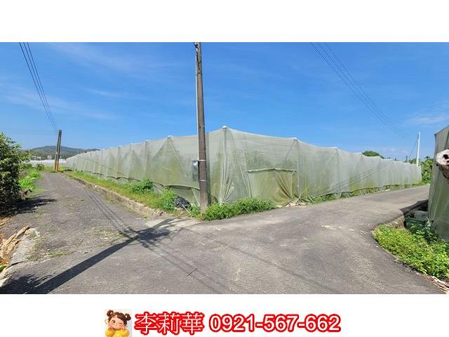 旗山農地-4