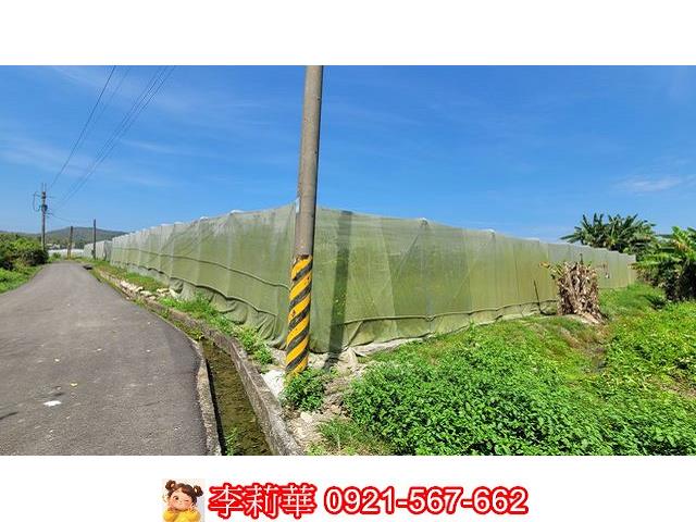 旗山農地-5