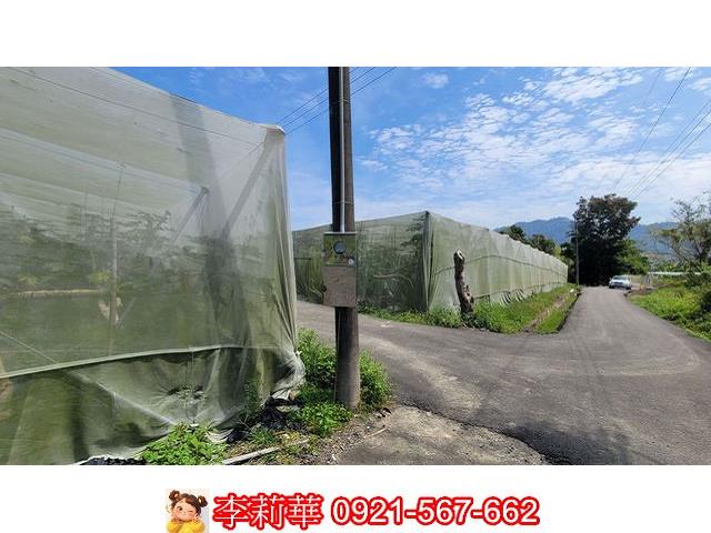 旗山農地-6