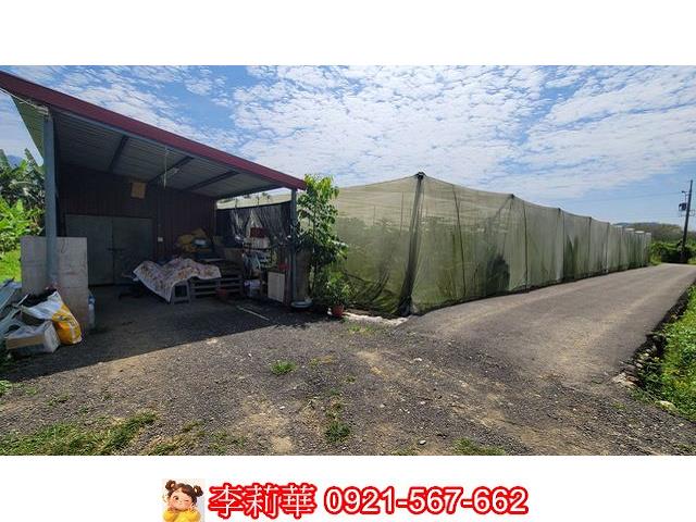 旗山農地-9