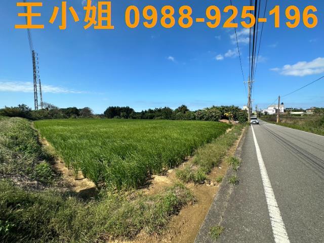 桃園農地-4