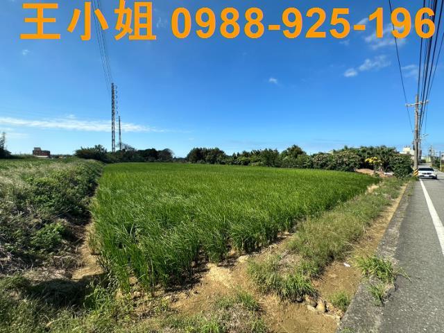 桃園農地-5