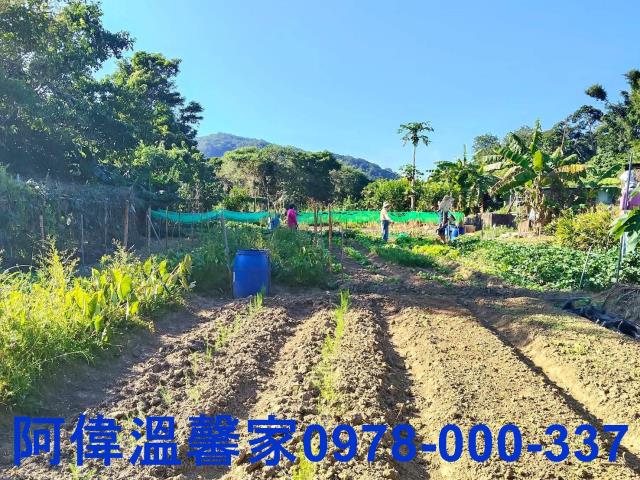 新竹農地-4