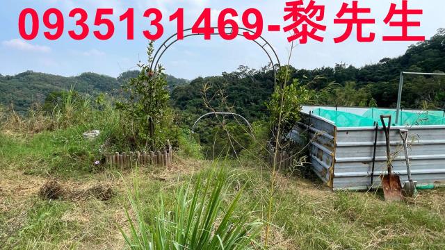 寶山農地-1
