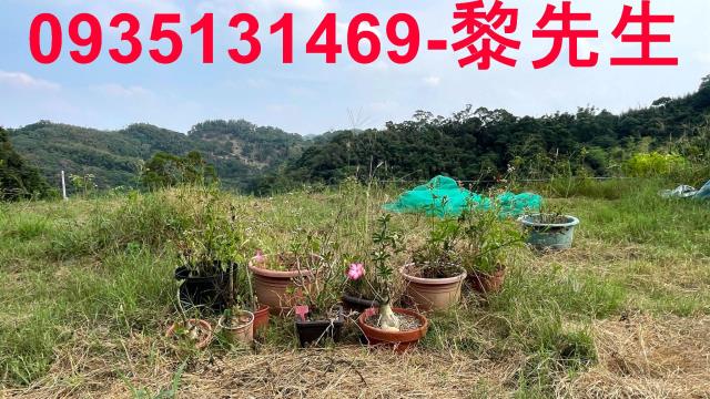 寶山農地-12