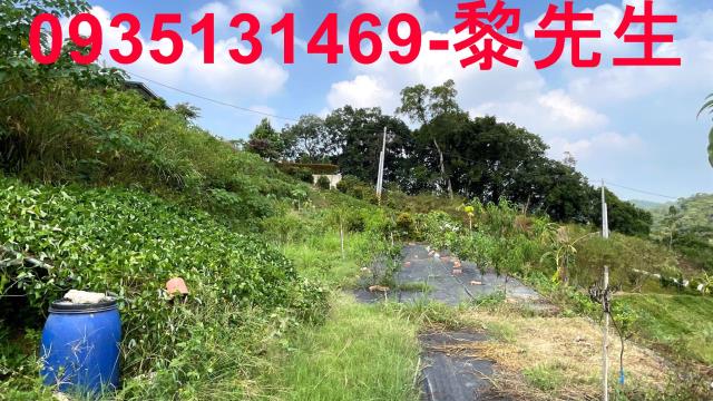 寶山農地-14