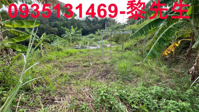 寶山農地-4