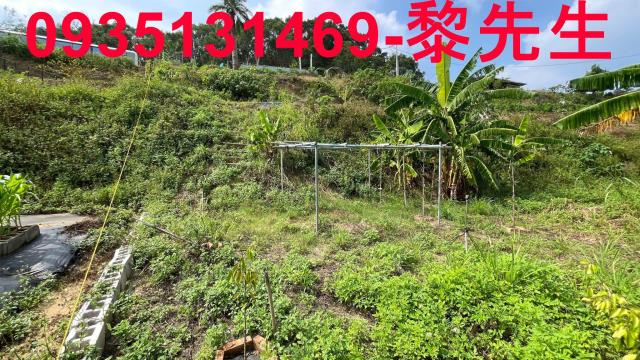 寶山農地-5