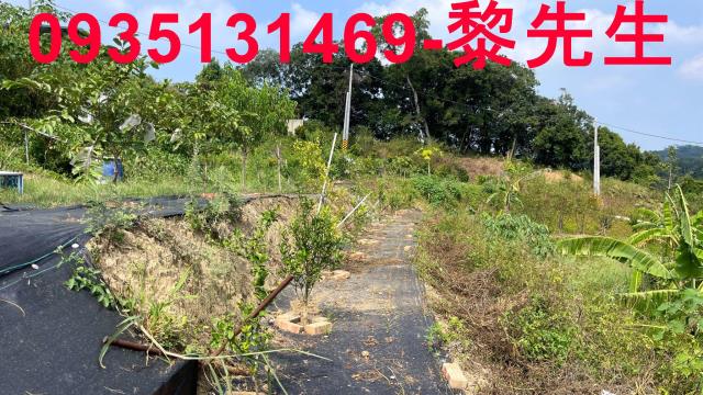 寶山農地-7