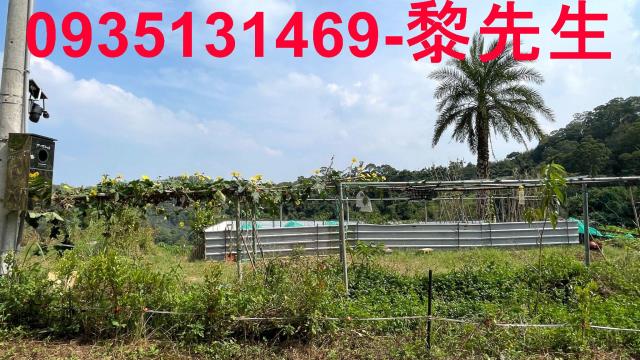 寶山農地-8
