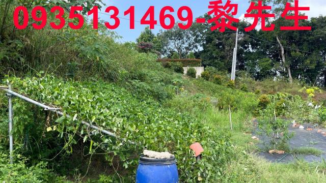 寶山農地-11