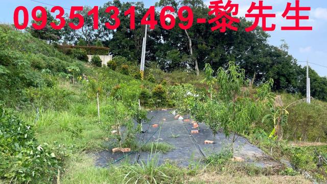 寶山農地-12