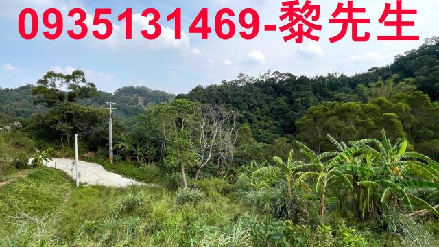 寶山農地-13