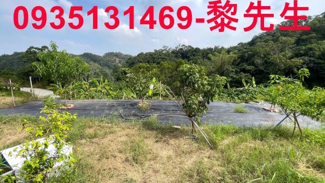 寶山農地-5