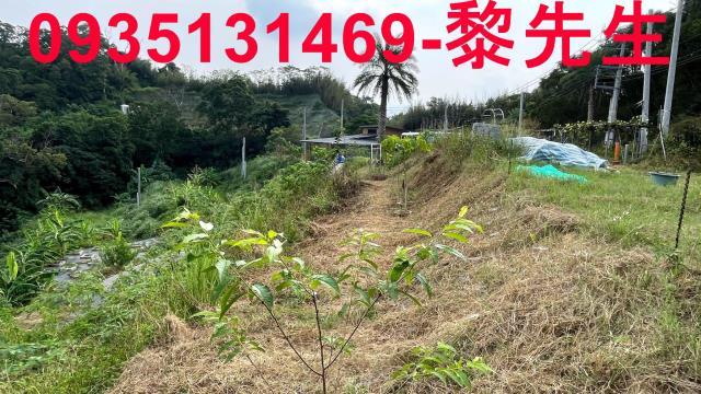 寶山農地-9