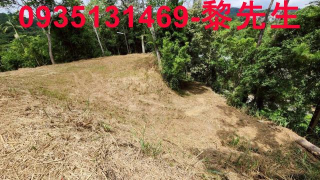 橫山農地-11