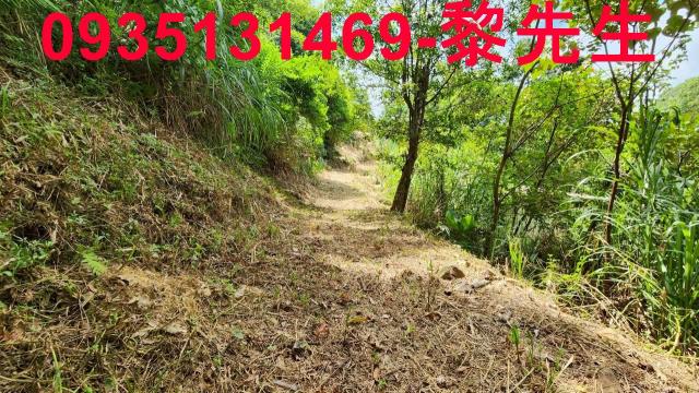 橫山農地-5